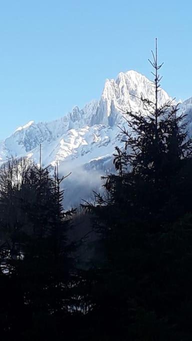 Chalet Les Charmilles - Vallee De Chamonix - 5 Chambres 레우쉬 외부 사진