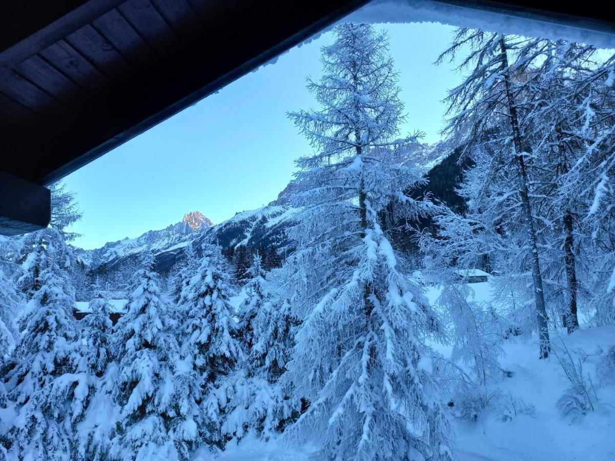 Chalet Les Charmilles - Vallee De Chamonix - 5 Chambres 레우쉬 외부 사진